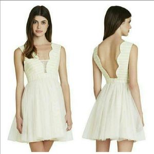 ‼️LAST CHANCE‼️bcbgeneration tutu dress